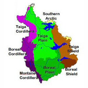 Ecozones
