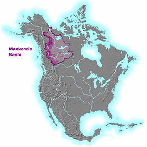 The Mackenzie Basin