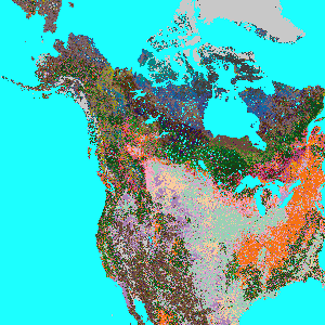 Vegetation cover